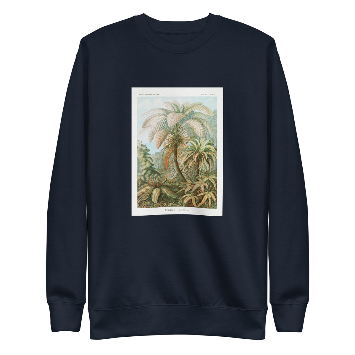 Navy Sweater Filicinae Laubfarne Signature