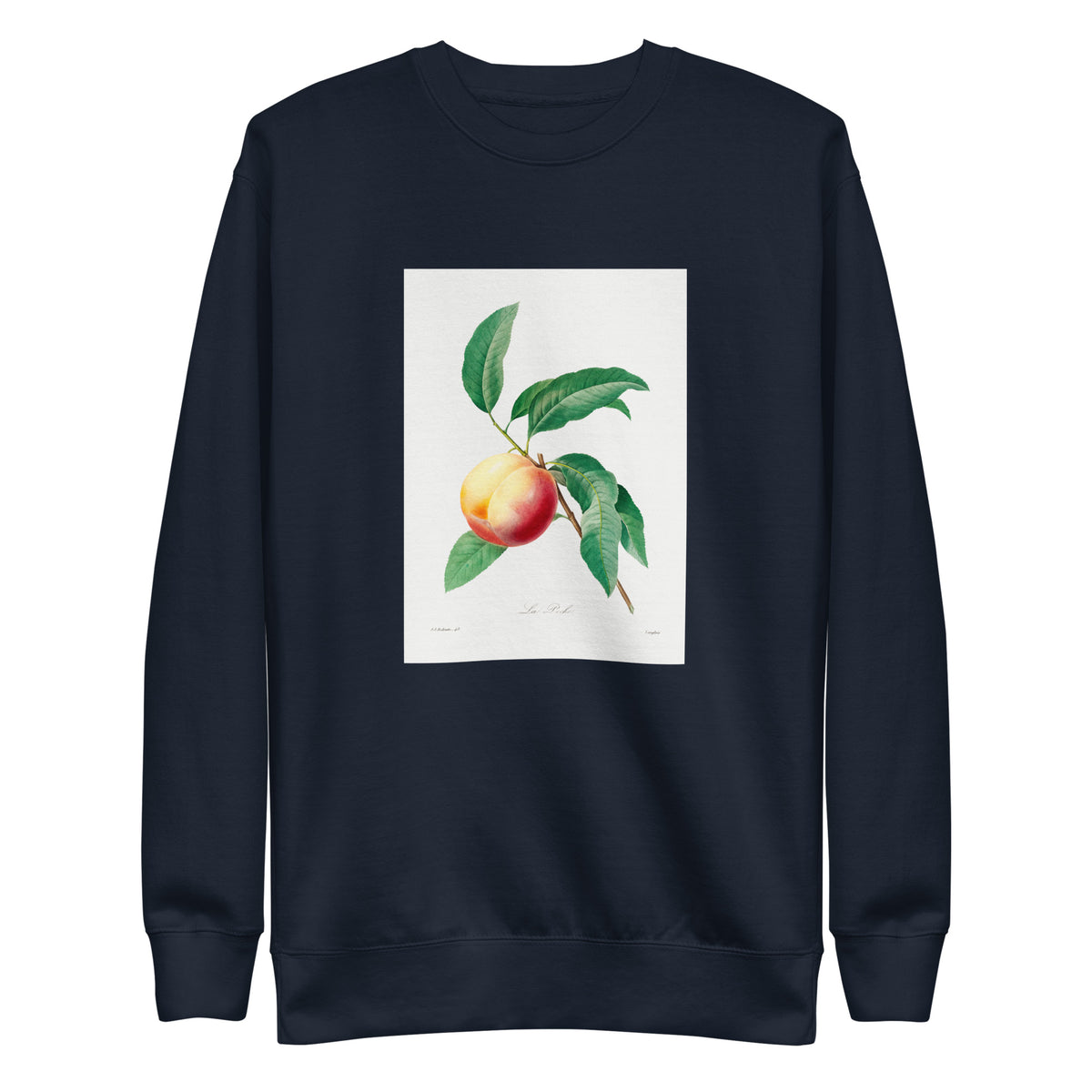 Navy Sweater Peach Fruit On A Branch - Pierre-Joseph Redoute 1759 Signature