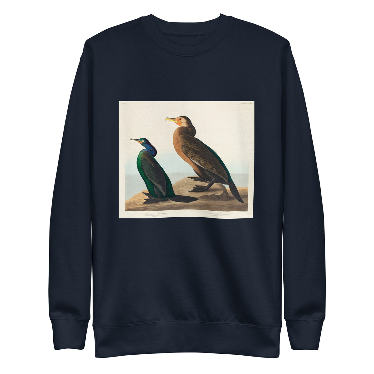 Navy Sweater Violet-Green Cormorant And Townsend S Cormorant - John James Audubon 1827 Signature
