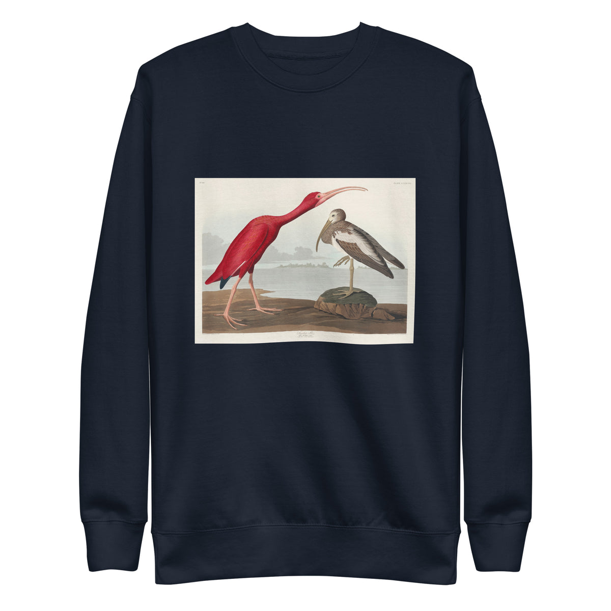 Navy Sweater Scarlet Ibis - John James Audubon 1827 Signature