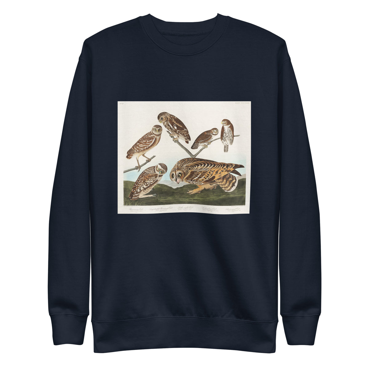 Navy Sweater Burrowing Owl Large-Headed Burrowing Owl Little Night Owl Columbian Owl And Short-Cared Owl - John James Audubon 1827 Signature