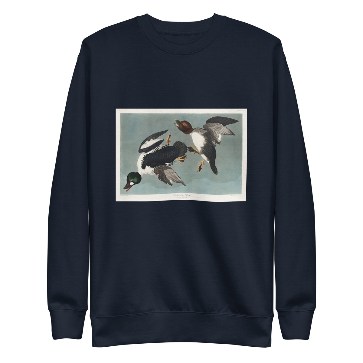 Navy Sweater Golden-Eye Duck Signature