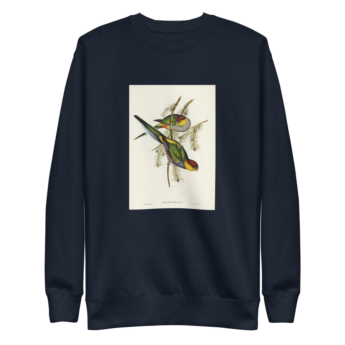 Navy Sweater Red-Capped Parakeet Platycercus Pileatus Illustrated - Elizabeth Gould 1804 Signature