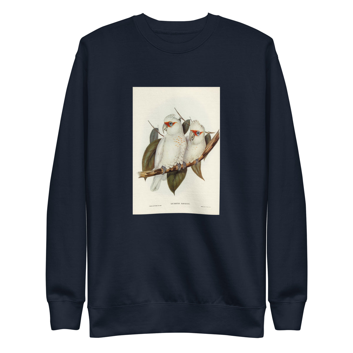 Navy Sweater Long-Billed Cockatoo Licmetis Nasicus Illustrated - Elizabeth Gould 1804 Signature