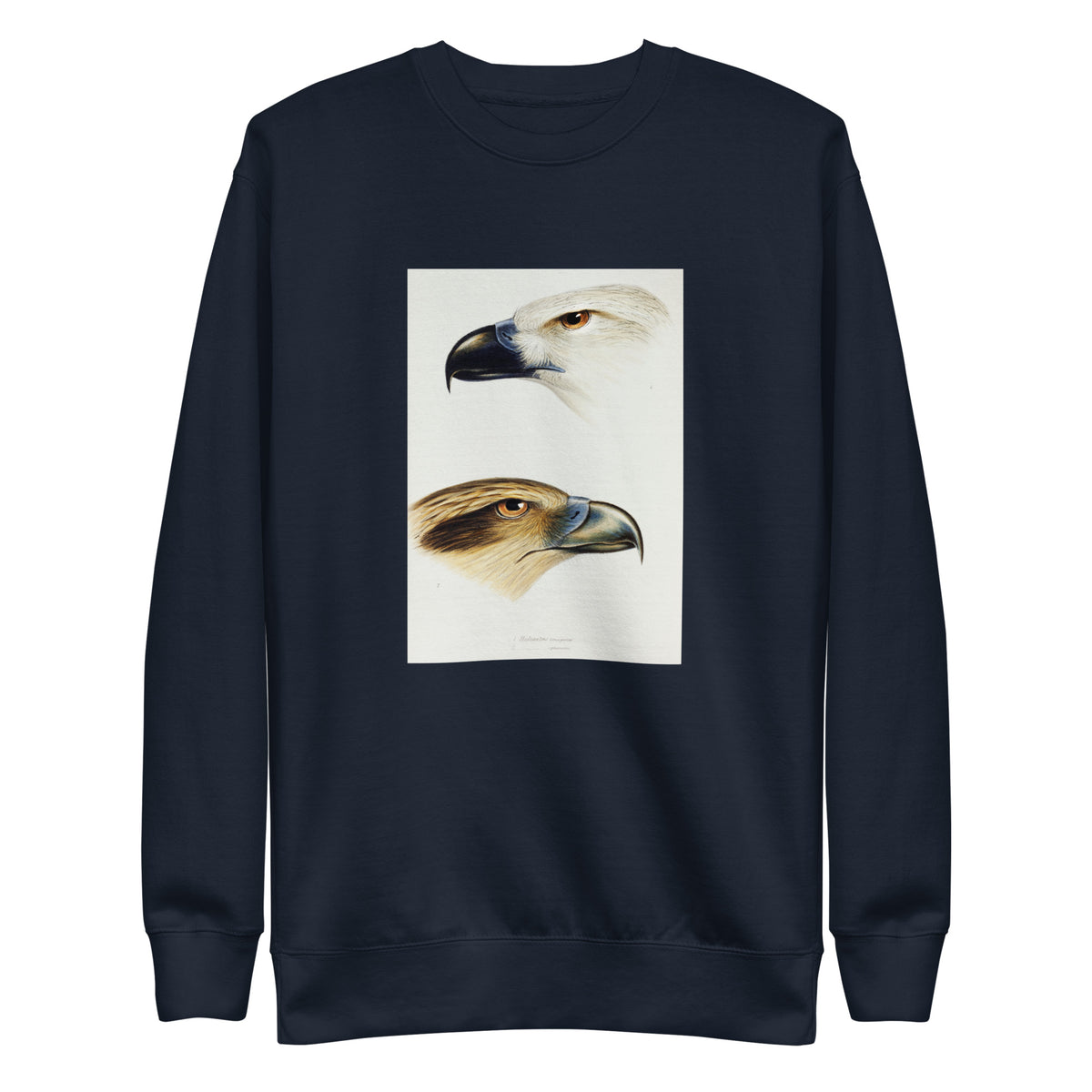 Navy Sweater 1 White-Bellied Sea Eagle Haliaeetus Leucogaster 2 Whistling Kite Haliastur Sphenurus Illustrated Signature