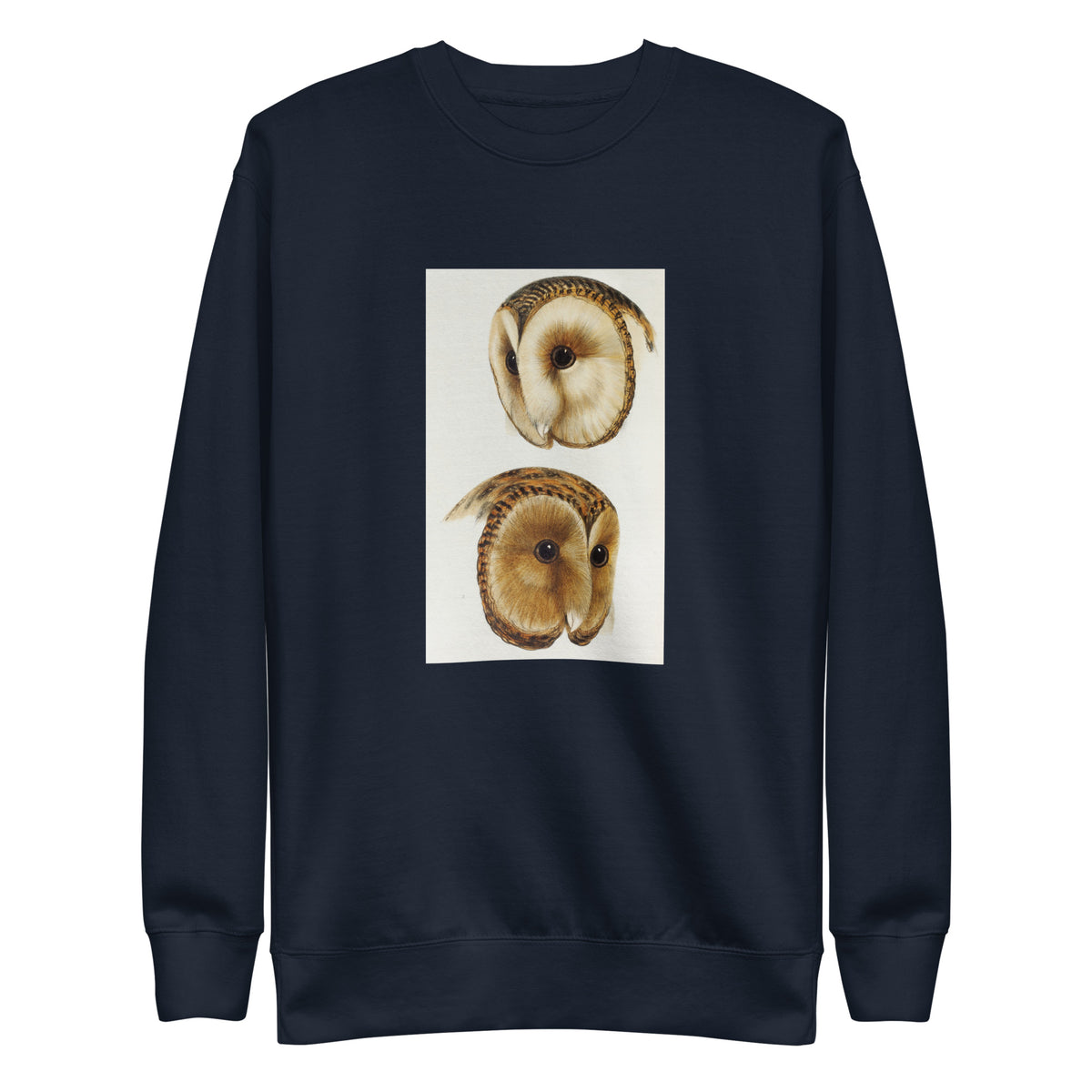Navy Sweater 1 Masked Barn Owl Strix Personata 2 Tasmanian Masked Owl Strix Castanops Illustrated Signature
