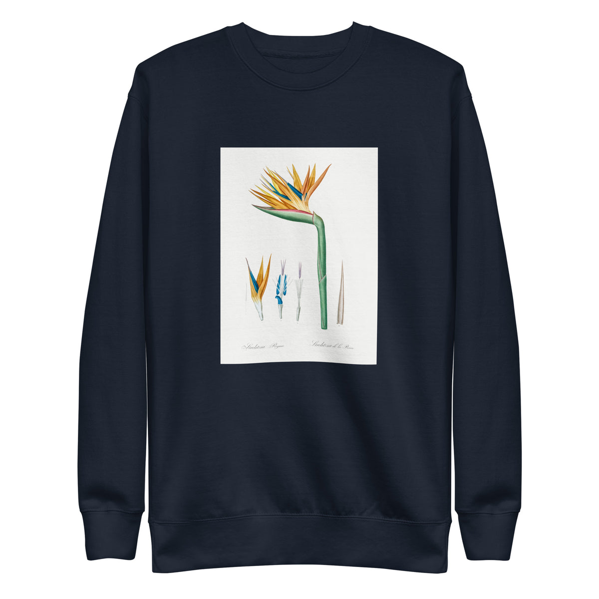 Navy Sweater Bird Of Paradise Illustration Signature