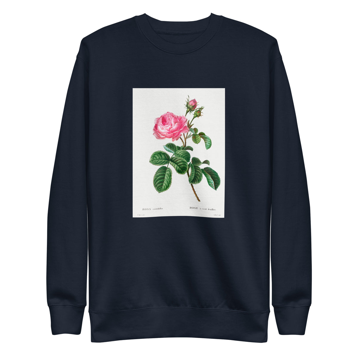 Navy Sweater Cabbage Rose Rosa Centifolia Signature