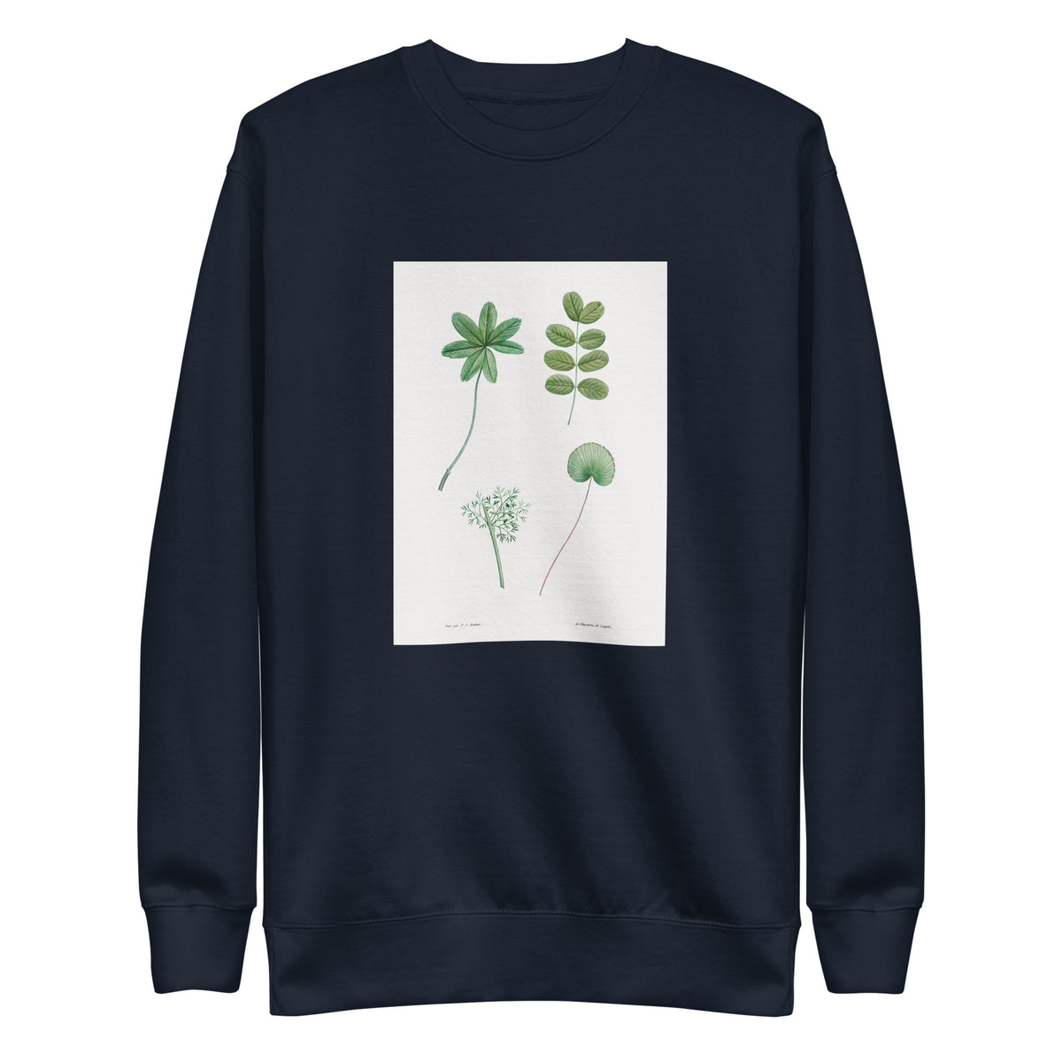 Navy Sweater Tree Leaf Set - Pierre-Joseph Redoute 1759 Signature
