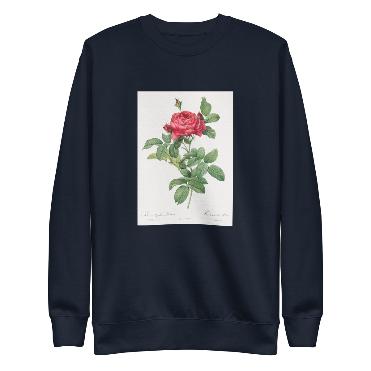 Navy Sweater Rosa Gallica Pontiana Also Known As Bridge Rose Signature