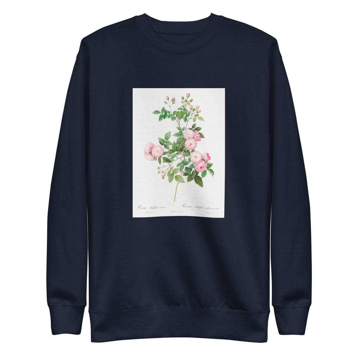 Navy Sweater Flesh-Pink Multiflora Rosa Multiflora Carnea Signature