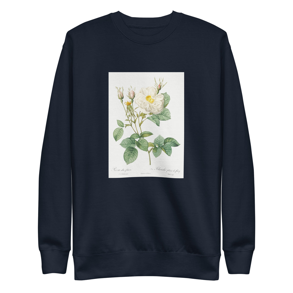 Navy Sweater Rosa X Alba Also Known As The White Leaf Of Fleury Rosa Alba Foliacea Signature