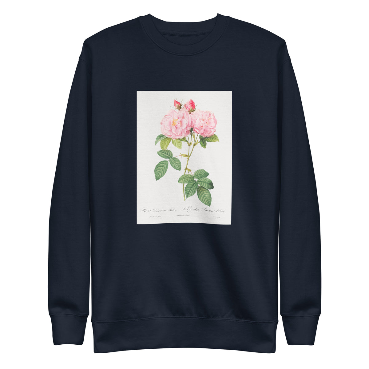 Navy Sweater Italian Damask Rose Also Known As The Four Seasons Of Italy Rosa Damascena Italica Signature