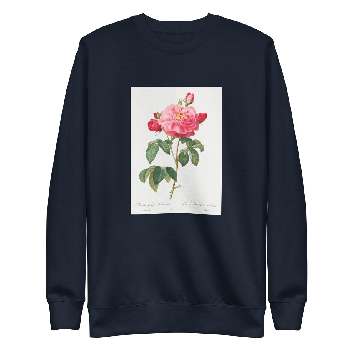 Navy Sweater Gallic Rose Also Known As The Duchess Of Orleans Rosa Gallica Aurelianensis Signature