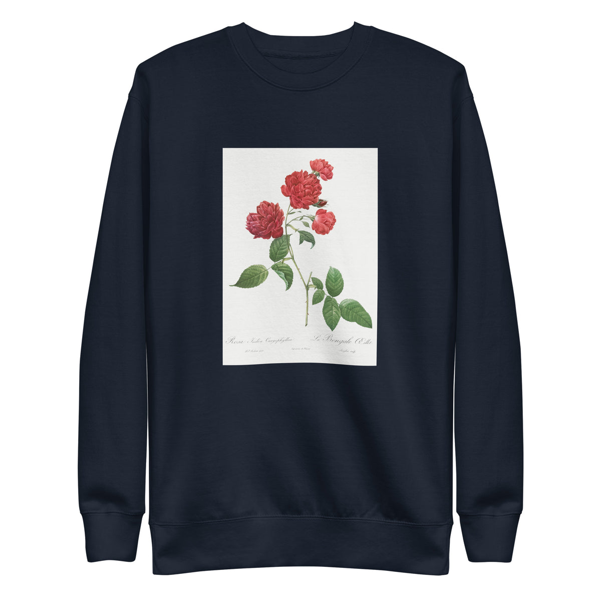 Navy Sweater Red Cabbage Rose Also Known As Bengal Eyelet Rosa Indica Caryophyllea - Pierre-Joseph Redoute Original From The Library Of Congress 1817 Signature