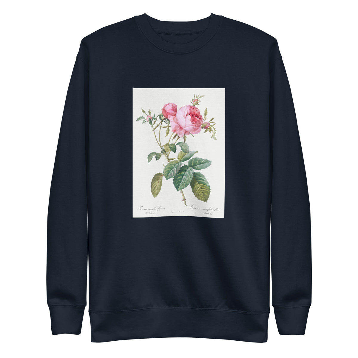 Navy Sweater Rose De Mai Rosa Centifolia Foliacea Signature