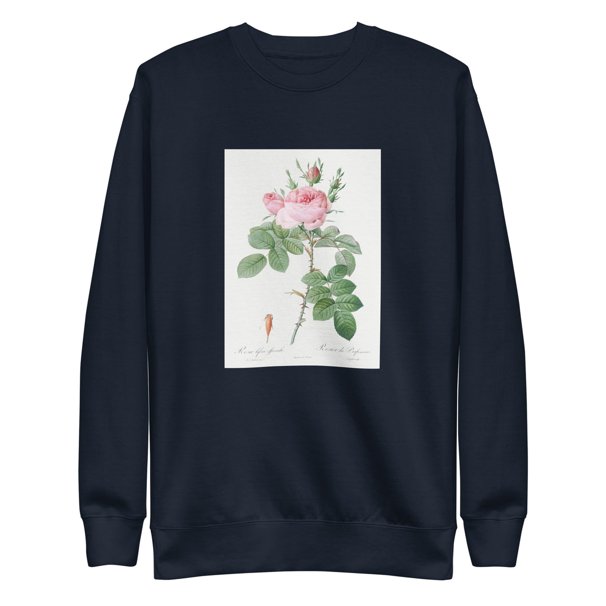 Navy Sweater Rosa Bifera Officinalis Also Known As Rose Of Perfume Signature