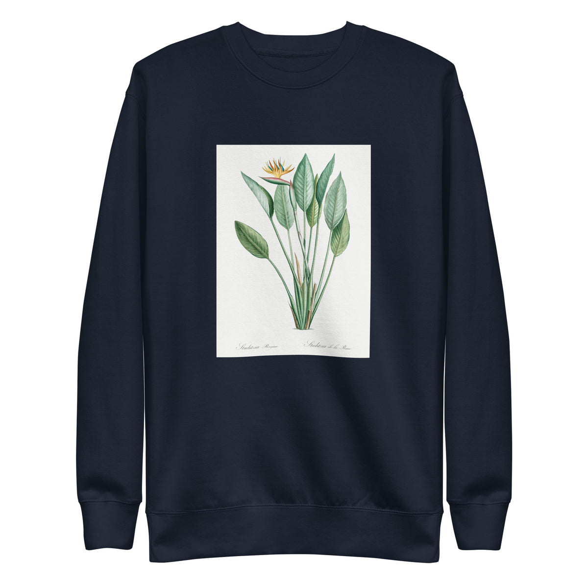 Navy Sweater Bird Of Paradise Illustration II Signature