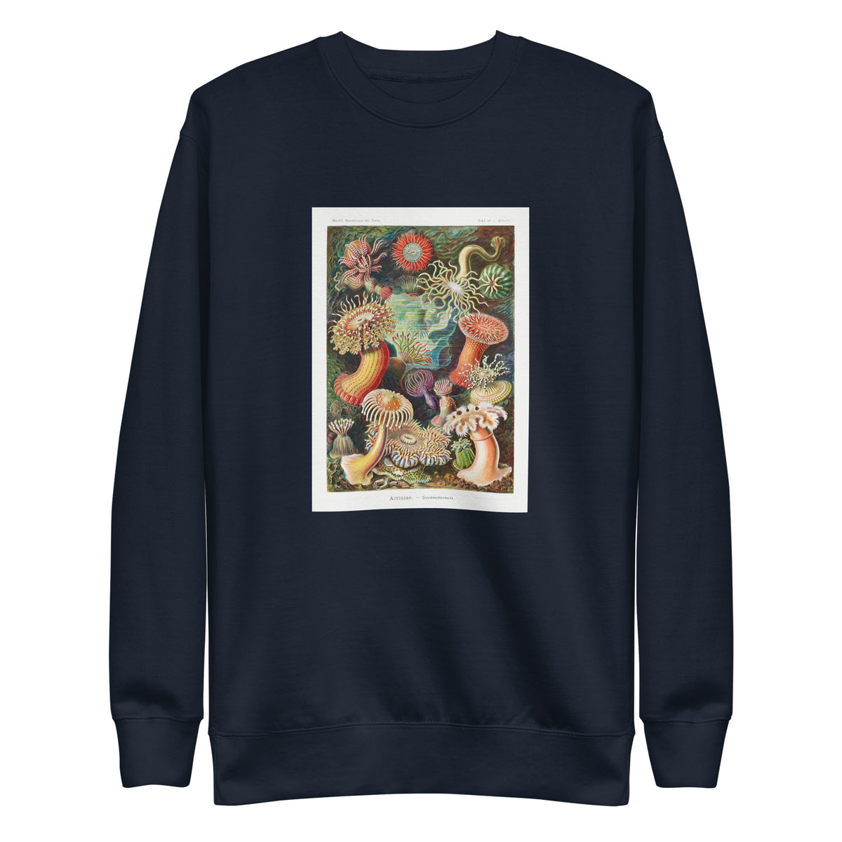 Navy Sweater Actiniae Seeanemonen Signature