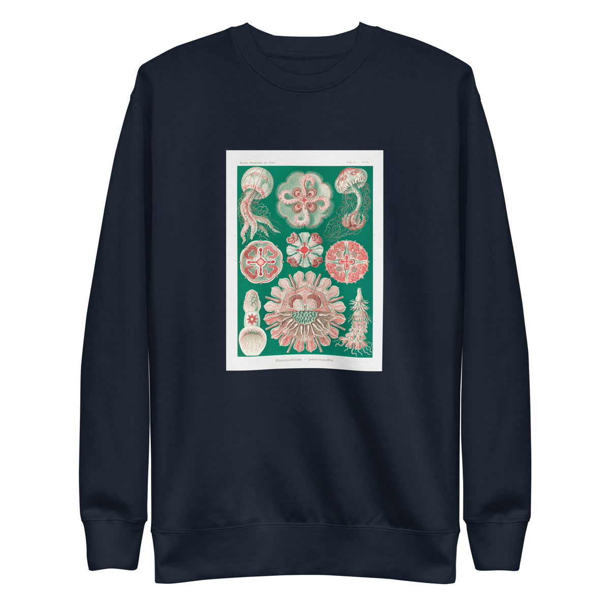 Navy Sweater Discomedusae Schweibenquallen Signature