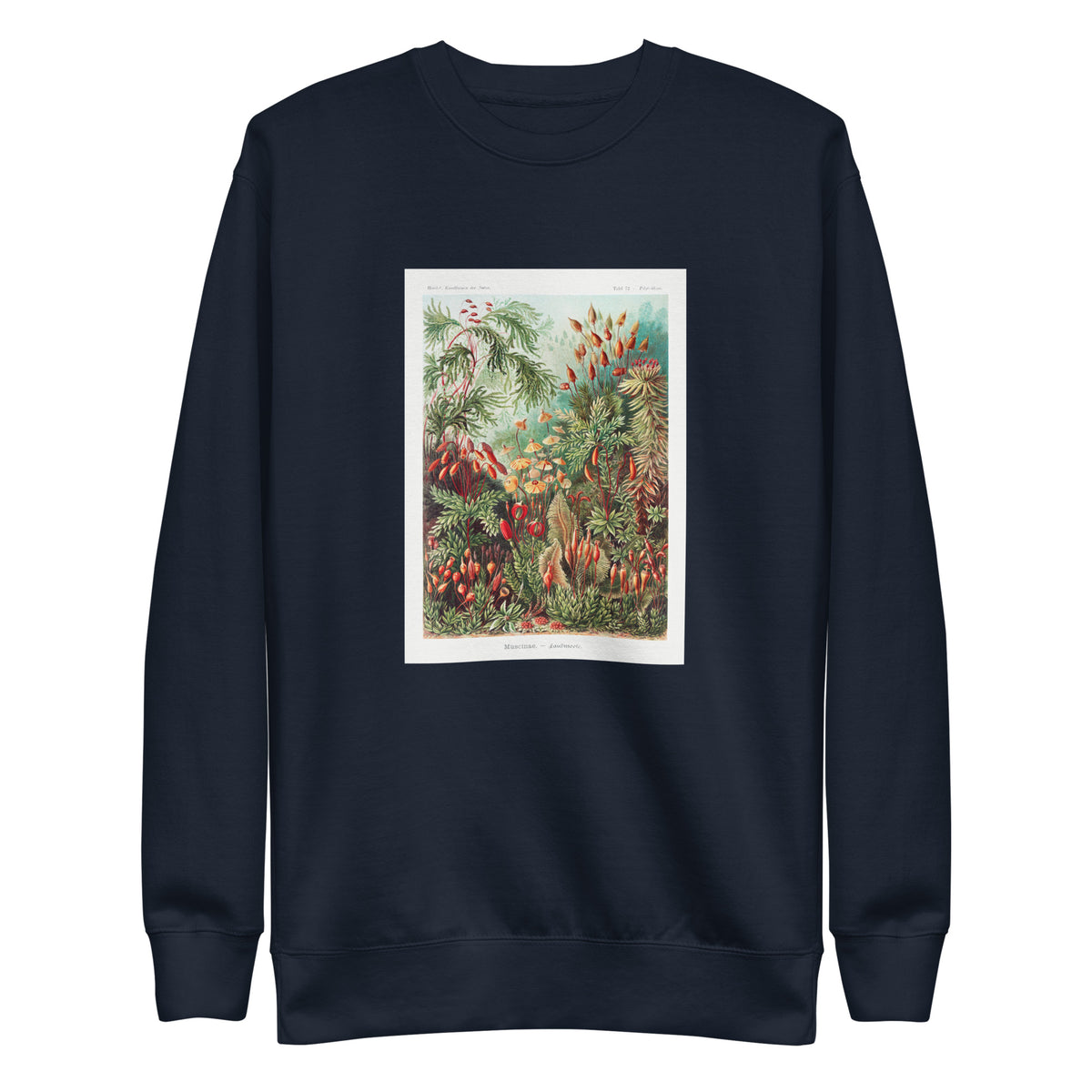 Navy Sweater Muscinae Laubmoose A Giltsch Gem Signature