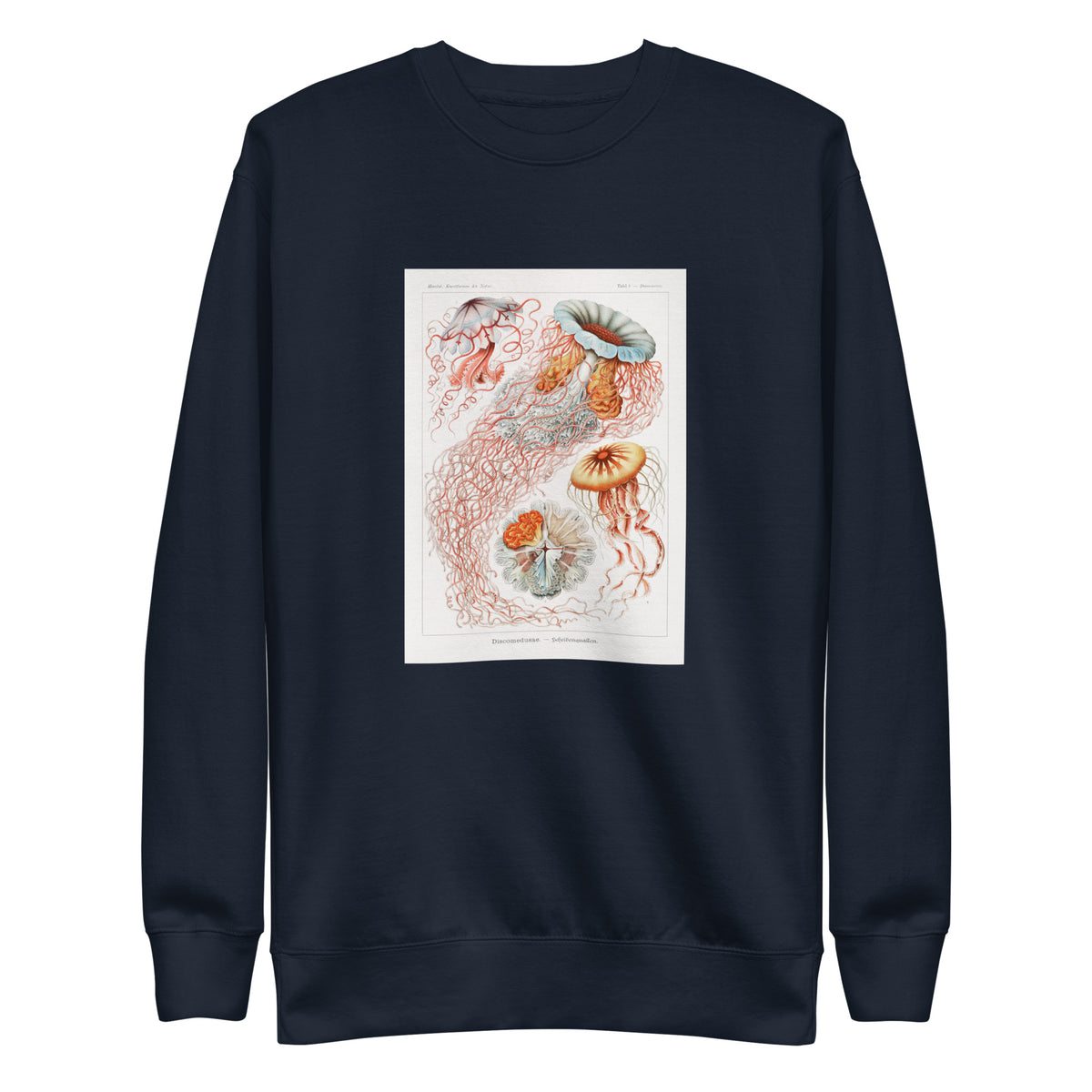 Navy Sweater Discomedusae Scheibenquallen Signature