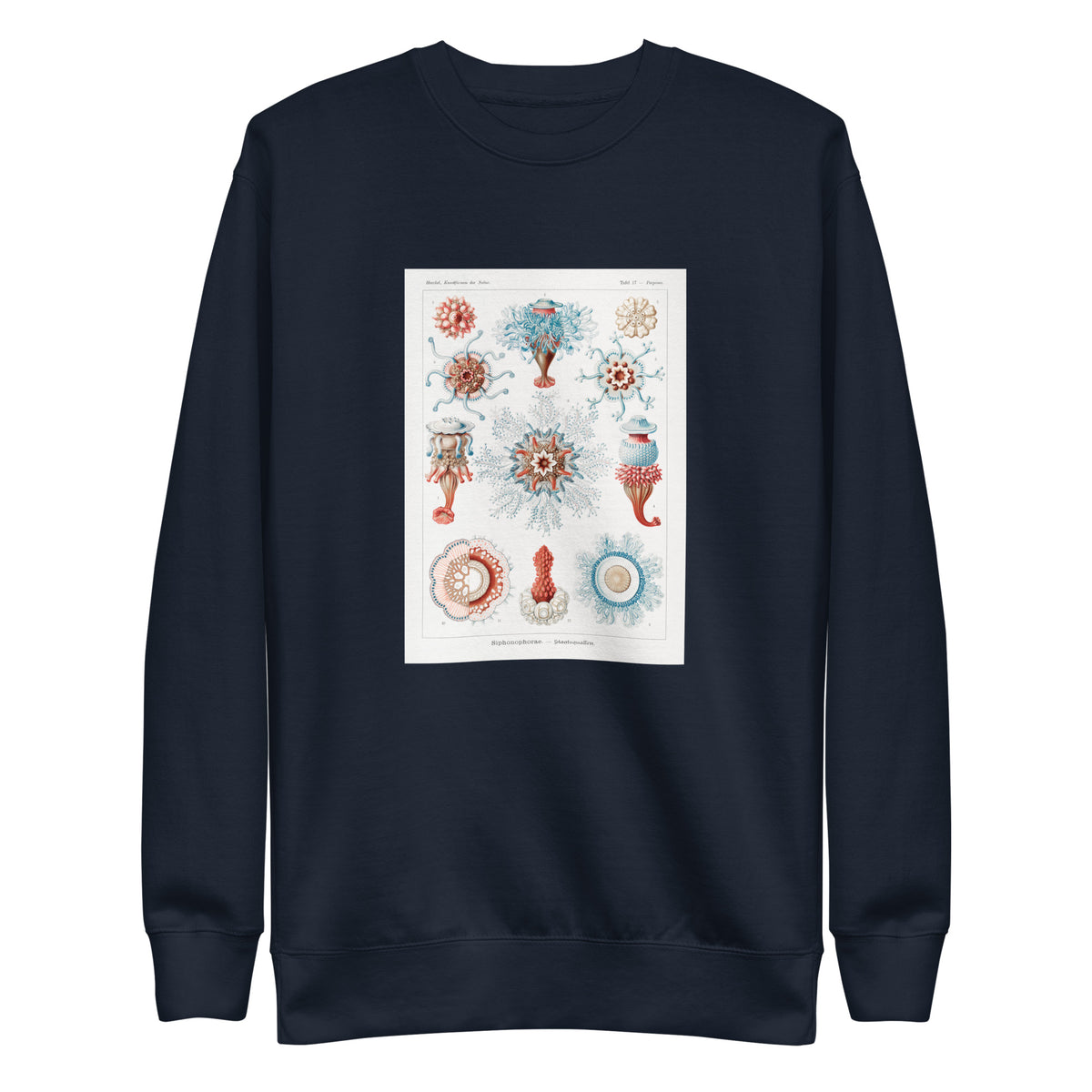 Navy Sweater Siphonophorae Staatsquallen Signature