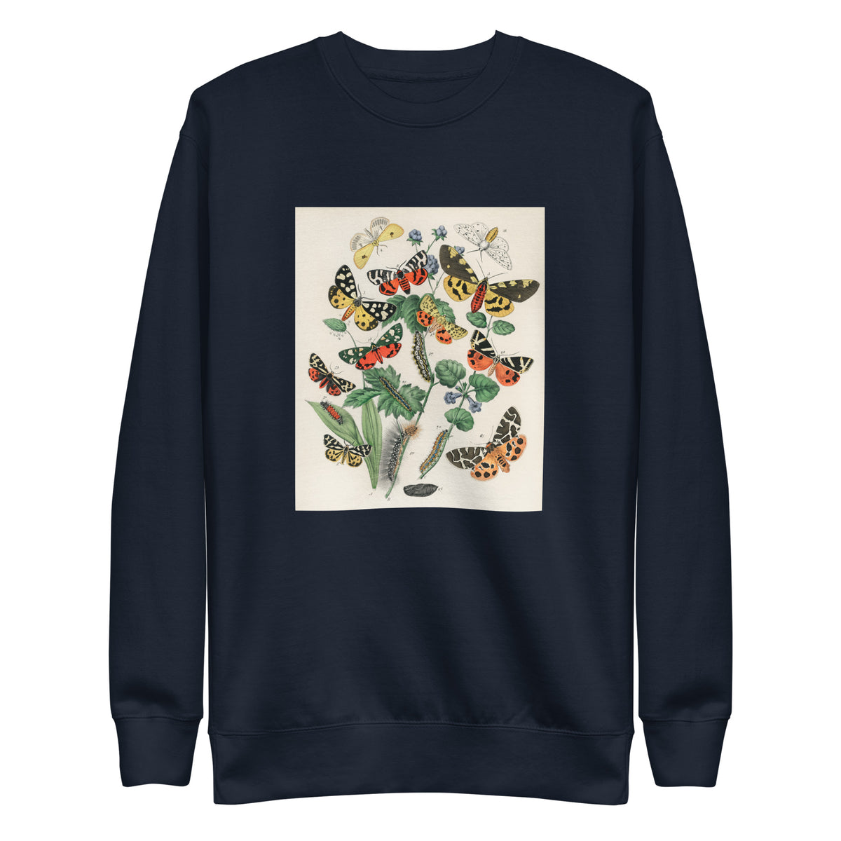 Navy Sweater Illustrations - William Forsell Kirby 1882 Signature