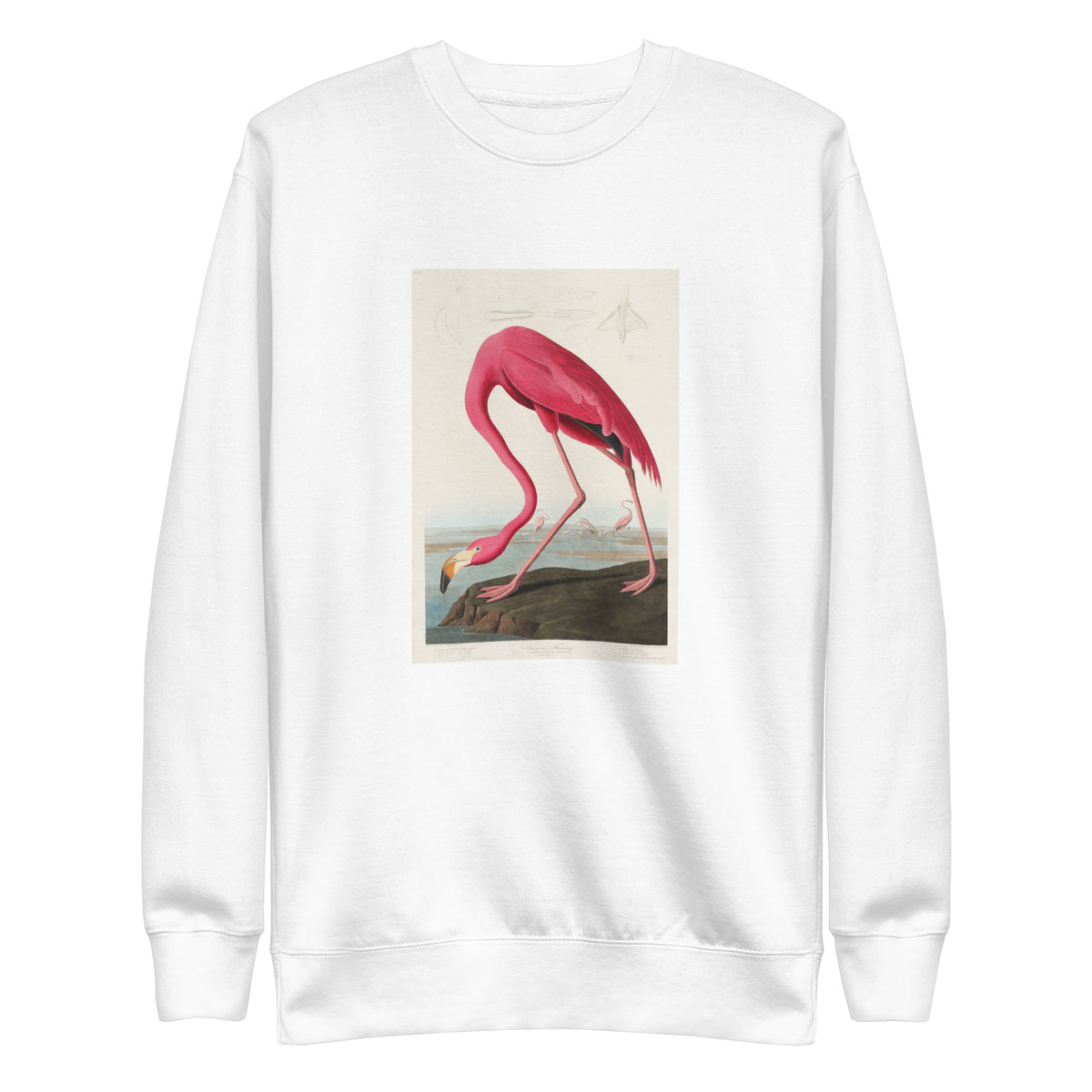 White Sweater Pink Flamingo - John James Audubon 1827 Signature