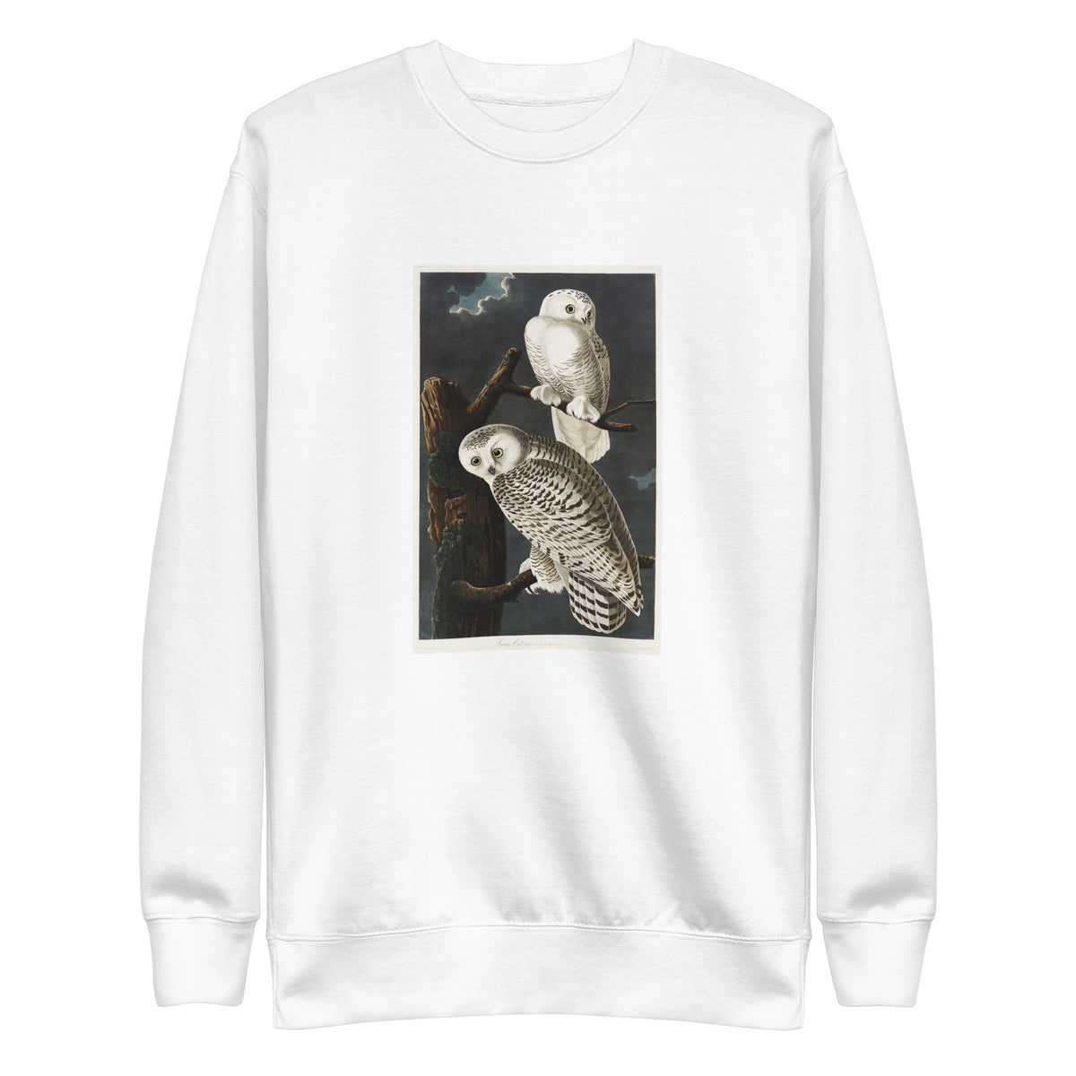 White Sweater Snowy Owl Signature