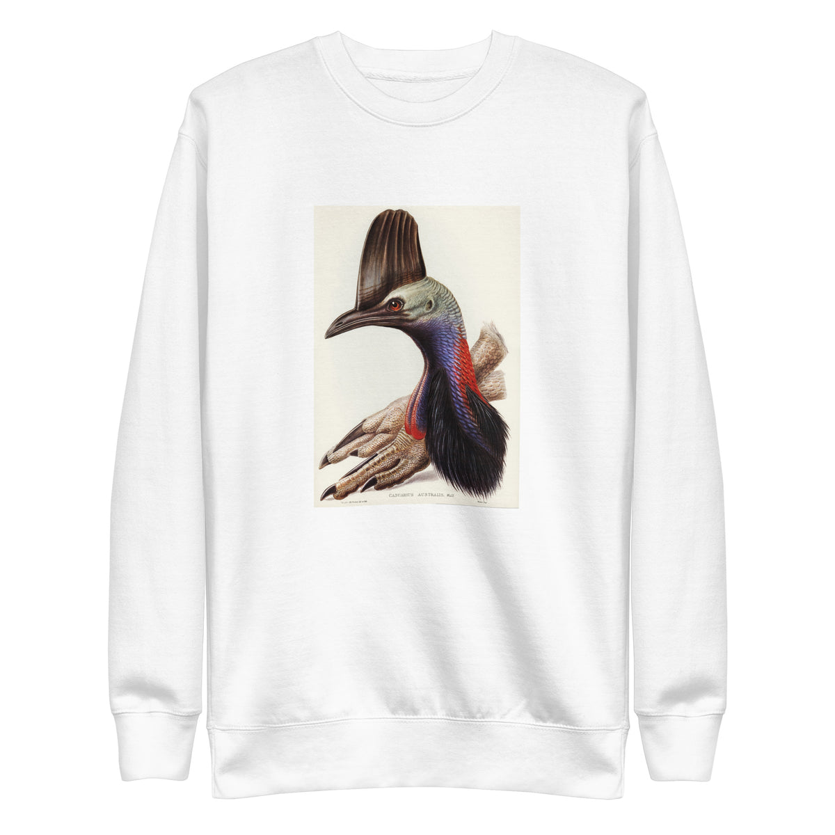 White Sweater Australian Cassowary Casuarius Australis Illustrated - Elizabeth Gould 1804 Signature