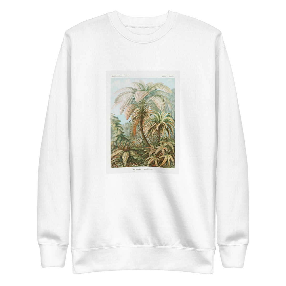 White Sweater Filicinae Laubfarne Signature