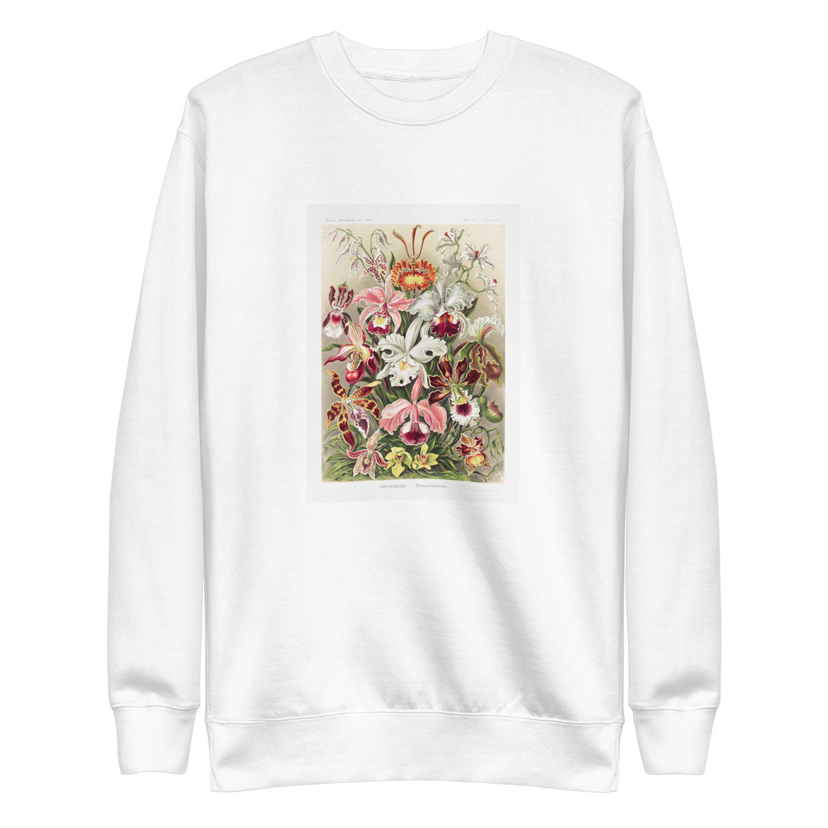 White Sweater Orchideae Denusblumen A Giltsch Gem Signature