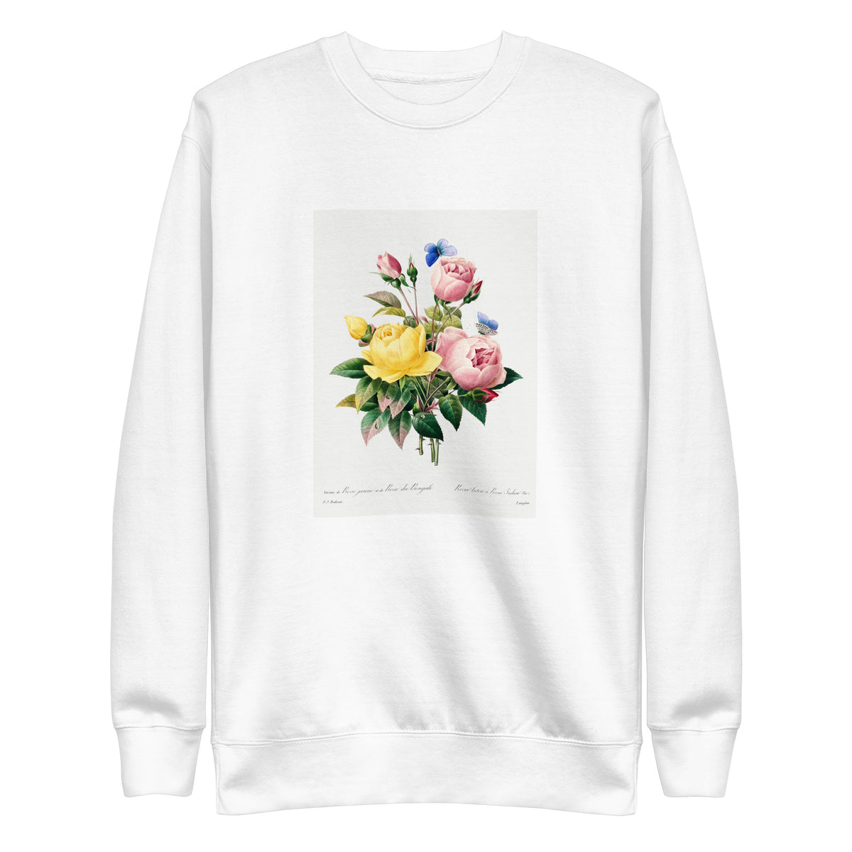 White Sweater Yellow Rose And Cabbage Rose - Pierre-Joseph Redoute 1759 Signature