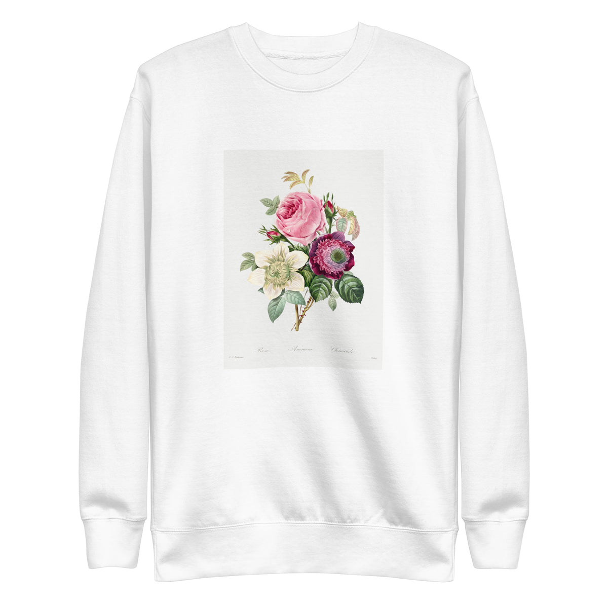 White Sweater Anemone And Cabbage Rose - Pierre-Joseph Redoute 1759 Signature