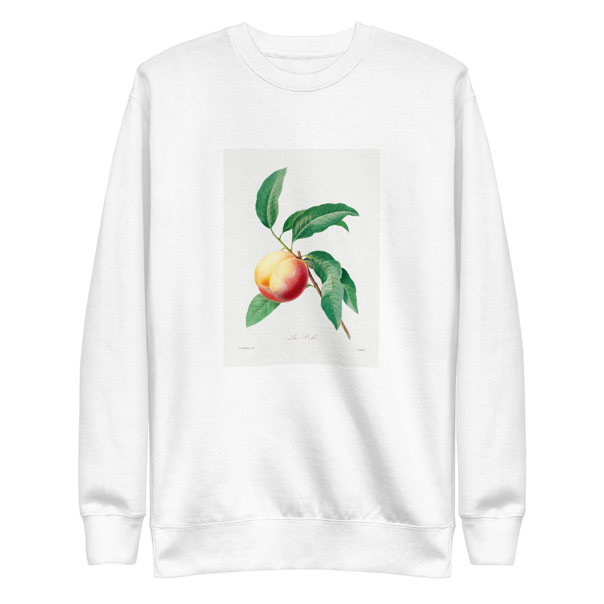 White Sweater Peach Fruit On A Branch - Pierre-Joseph Redoute 1759 Signature