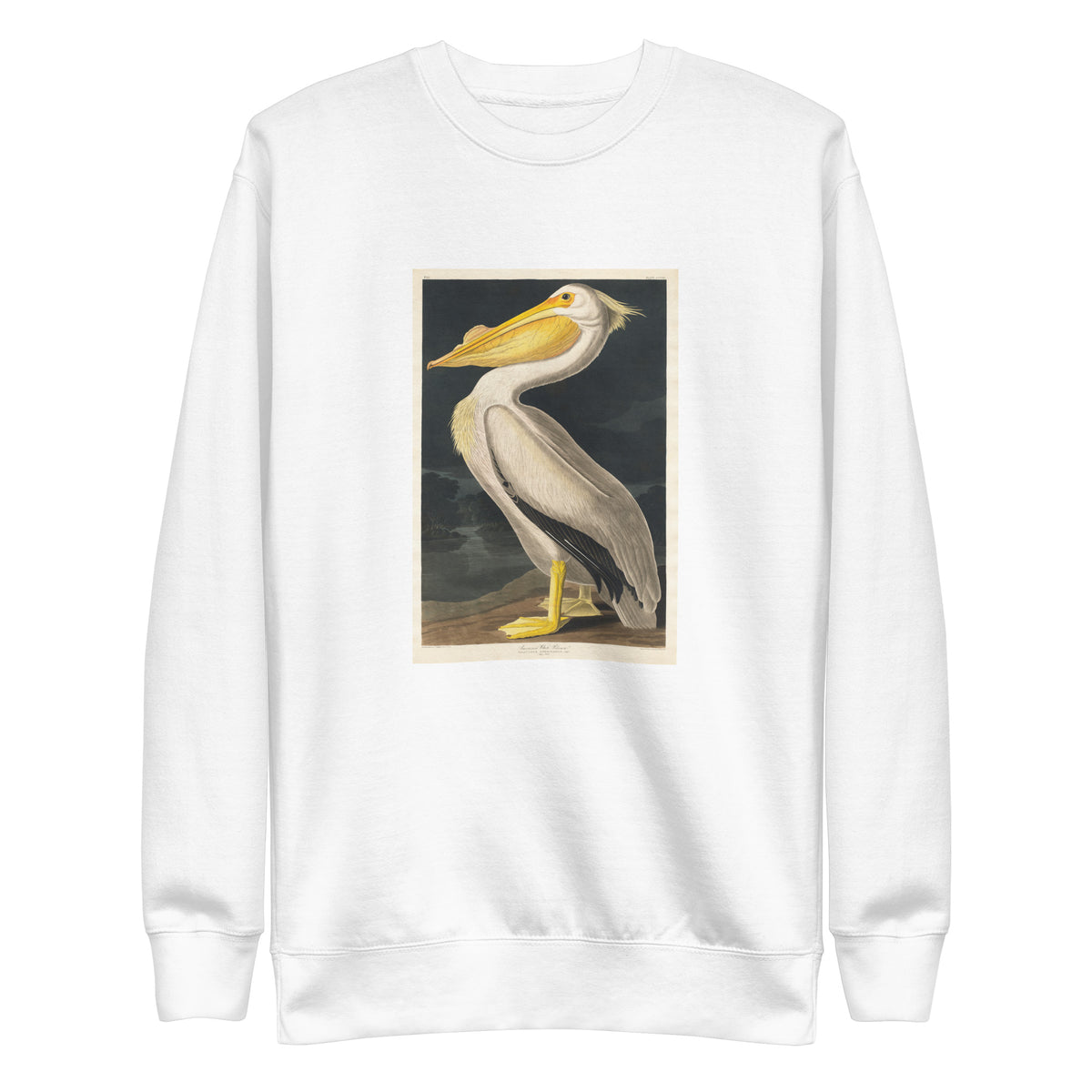 White Sweater American White Pelican Signature