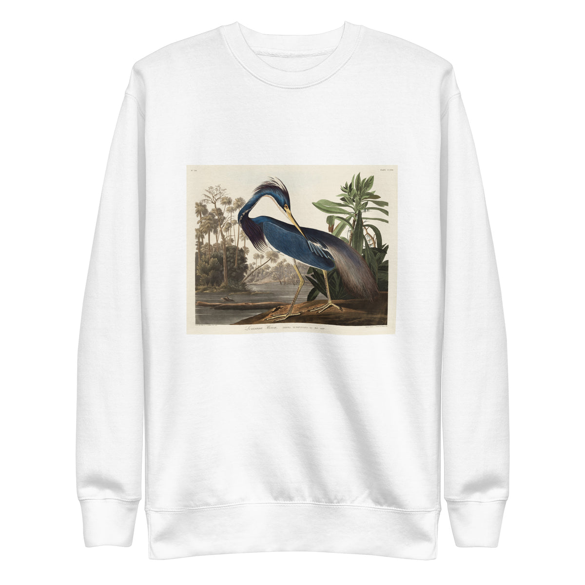 White Sweater Louisiana Heron Signature