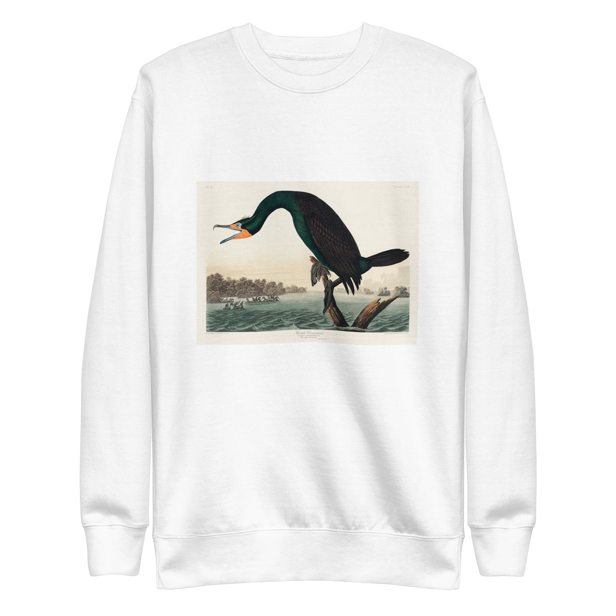 White Sweater Florida Cormorant Signature