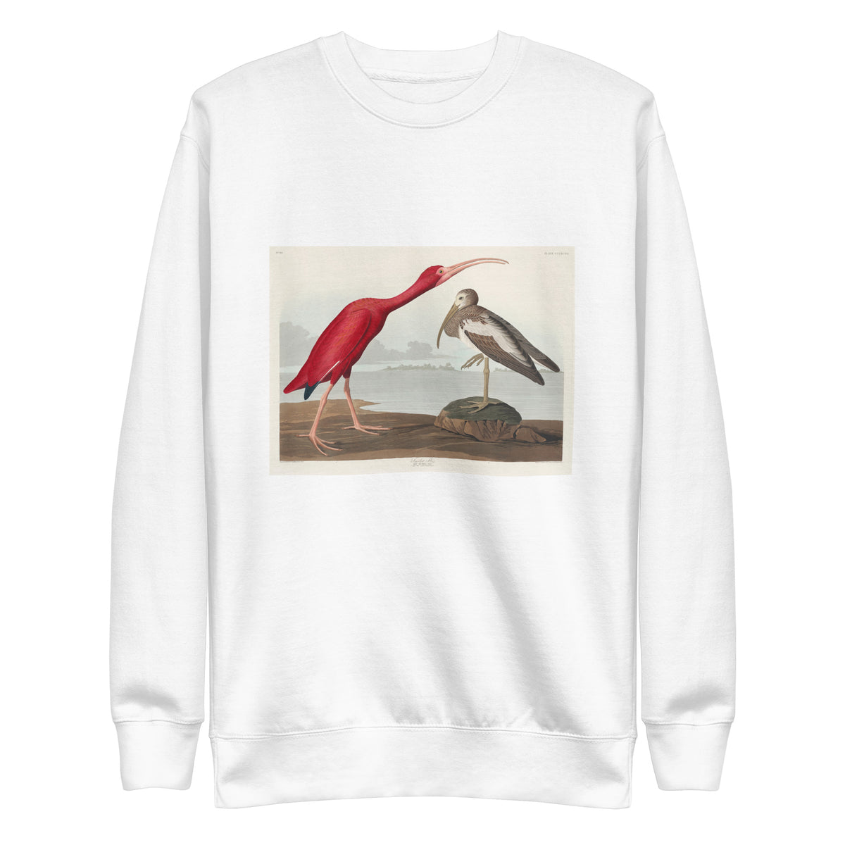 White Sweater Scarlet Ibis - John James Audubon 1827 Signature