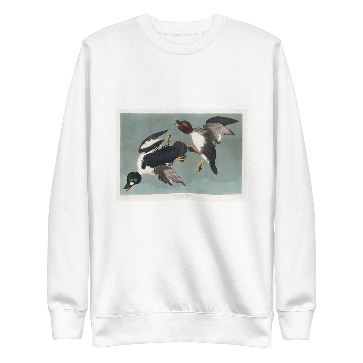 White Sweater Golden-Eye Duck Signature