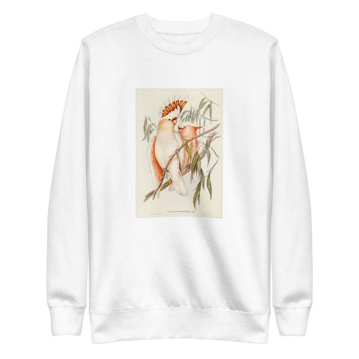 White Sweater Leadbeater S Cockatoo Cacatua Leadbeaterii Illustrated - Elizabeth Gould 1804 Signature