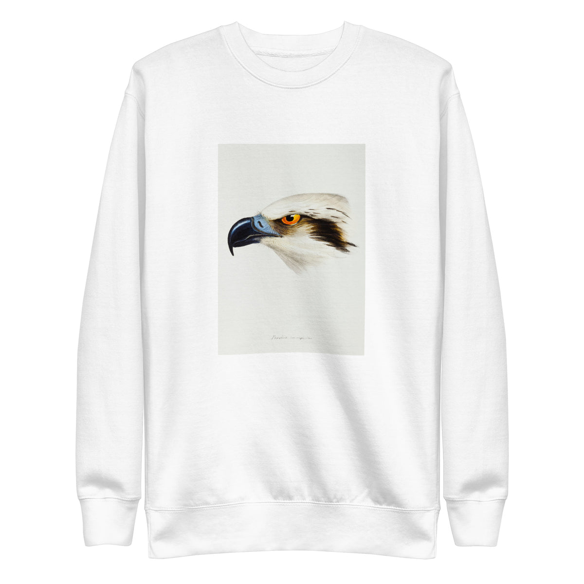 White Sweater White-Headed Osprey Pandion Leucocephalus Illustrated Signature