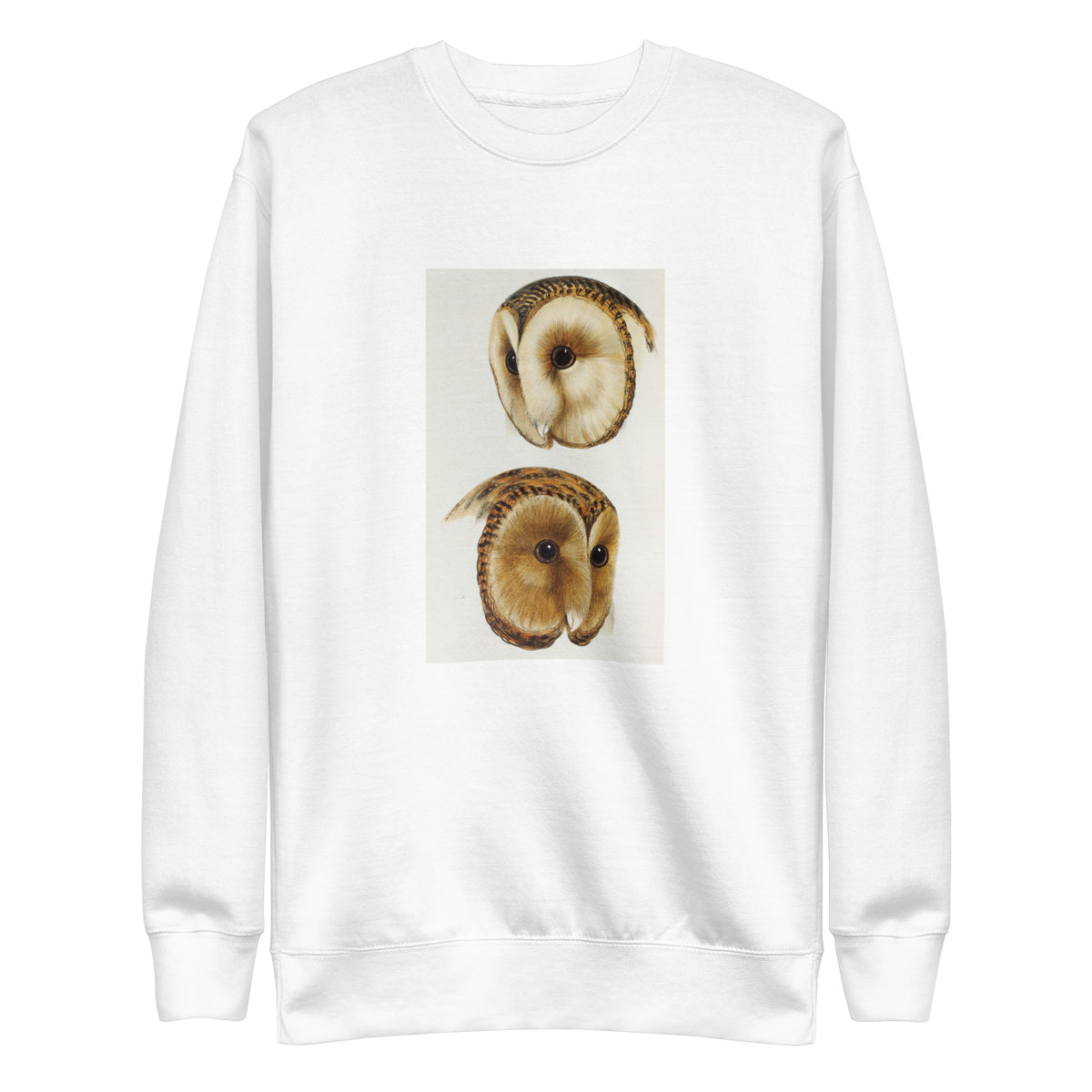 White Sweater 1 Masked Barn Owl Strix Personata 2 Tasmanian Masked Owl Strix Castanops Illustrated Signature