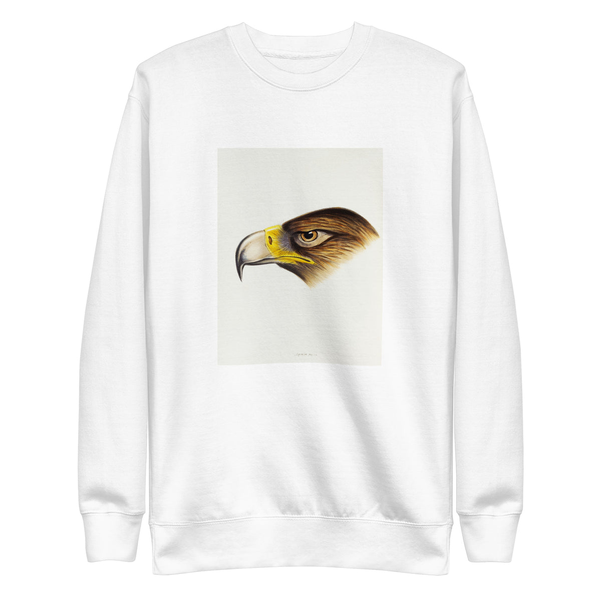 White Sweater Wedge-Tailed Eagle Aquila Fucosa Illustrated Signature