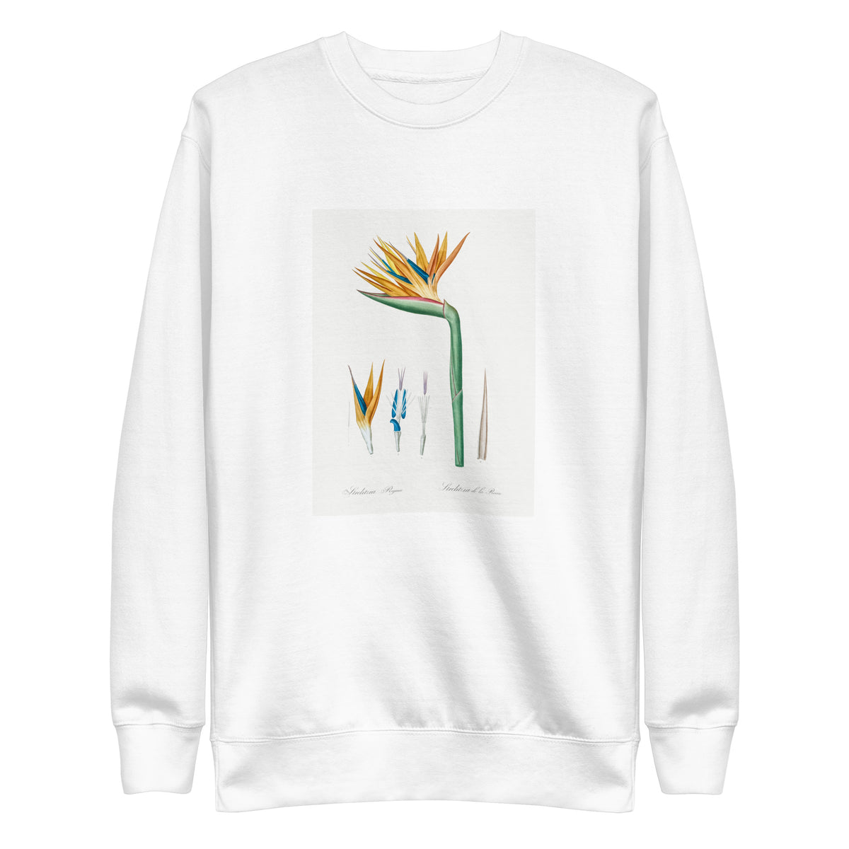 White Sweater Bird Of Paradise Illustration Signature