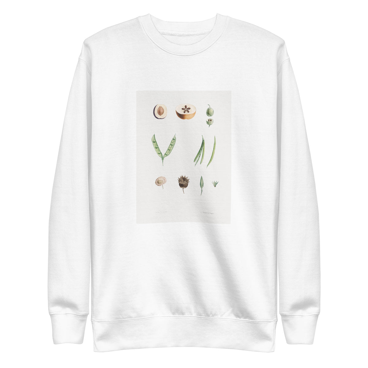 White Sweater Plants Part - Pierre-Joseph Redoute 1759 Signature