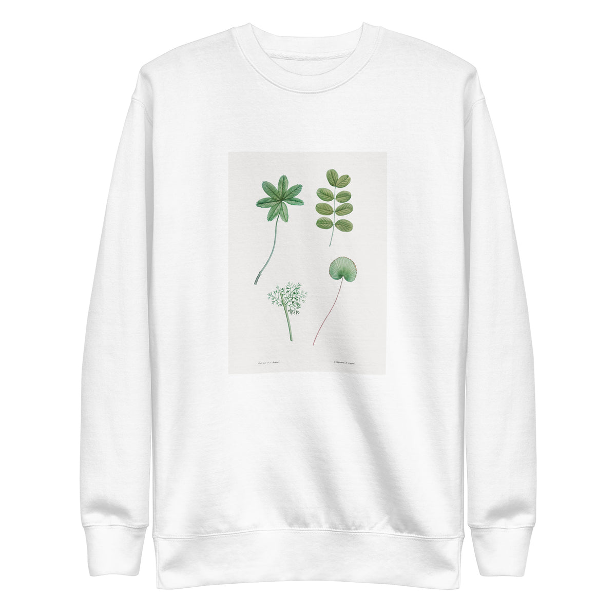White Sweater Tree Leaf Set - Pierre-Joseph Redoute 1759 Signature