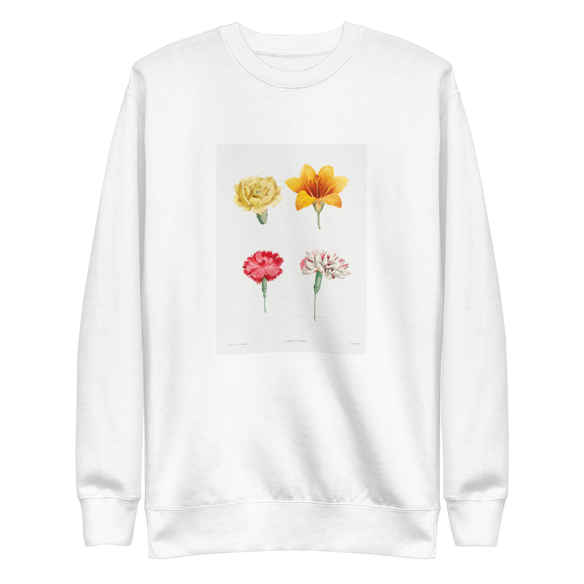 White Sweater Flower Set - Pierre-Joseph Redoute 1759 Signature