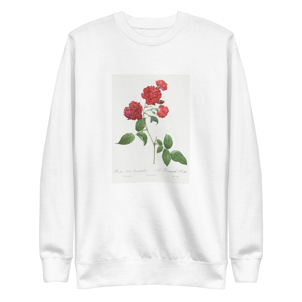 White Sweater Red Cabbage Rose Also Known As Bengal Eyelet Rosa Indica Caryophyllea - Pierre-Joseph Redoute Original From The Library Of Congress 1817 Signature